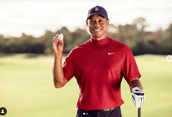tiger wood